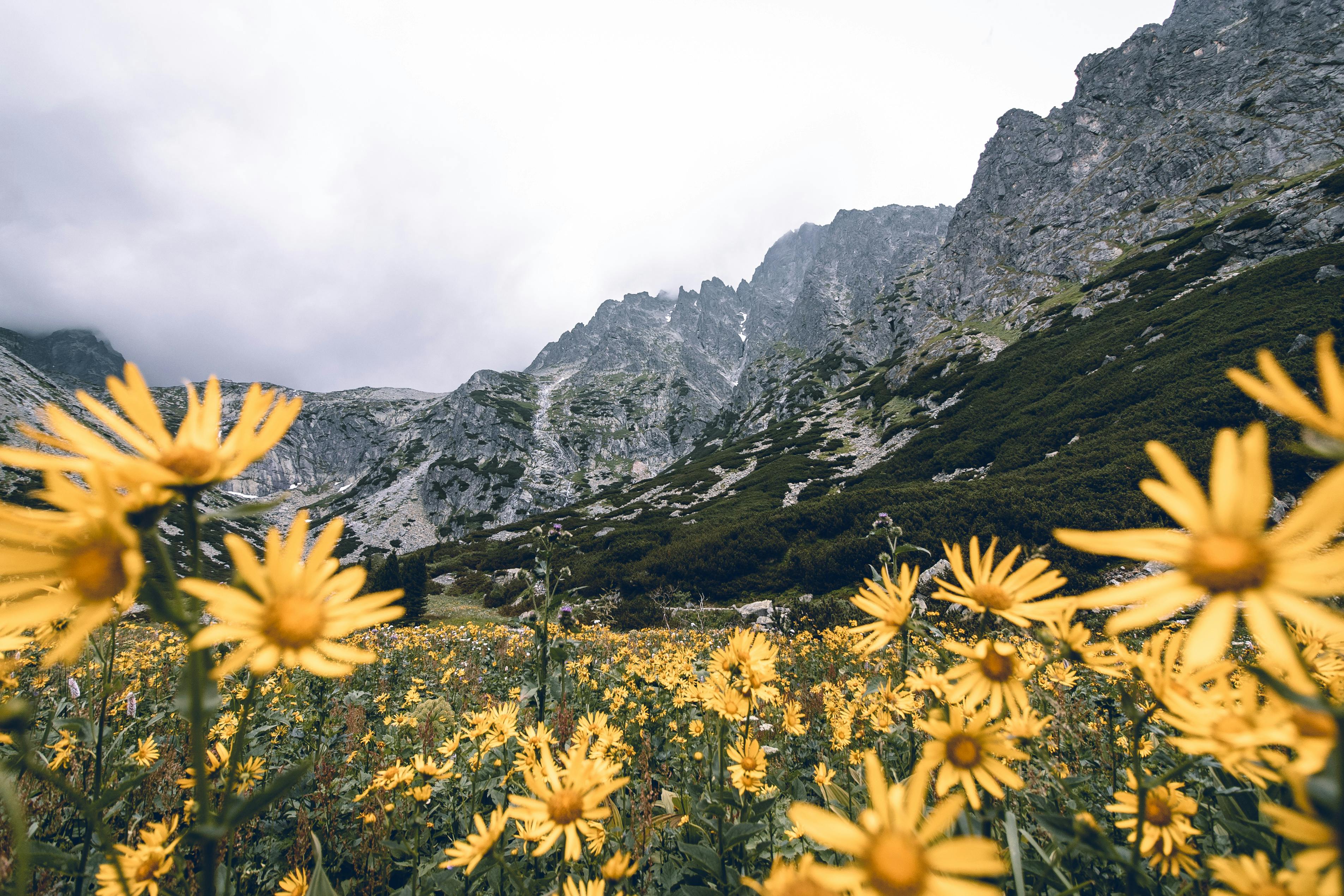 Tatra National Park