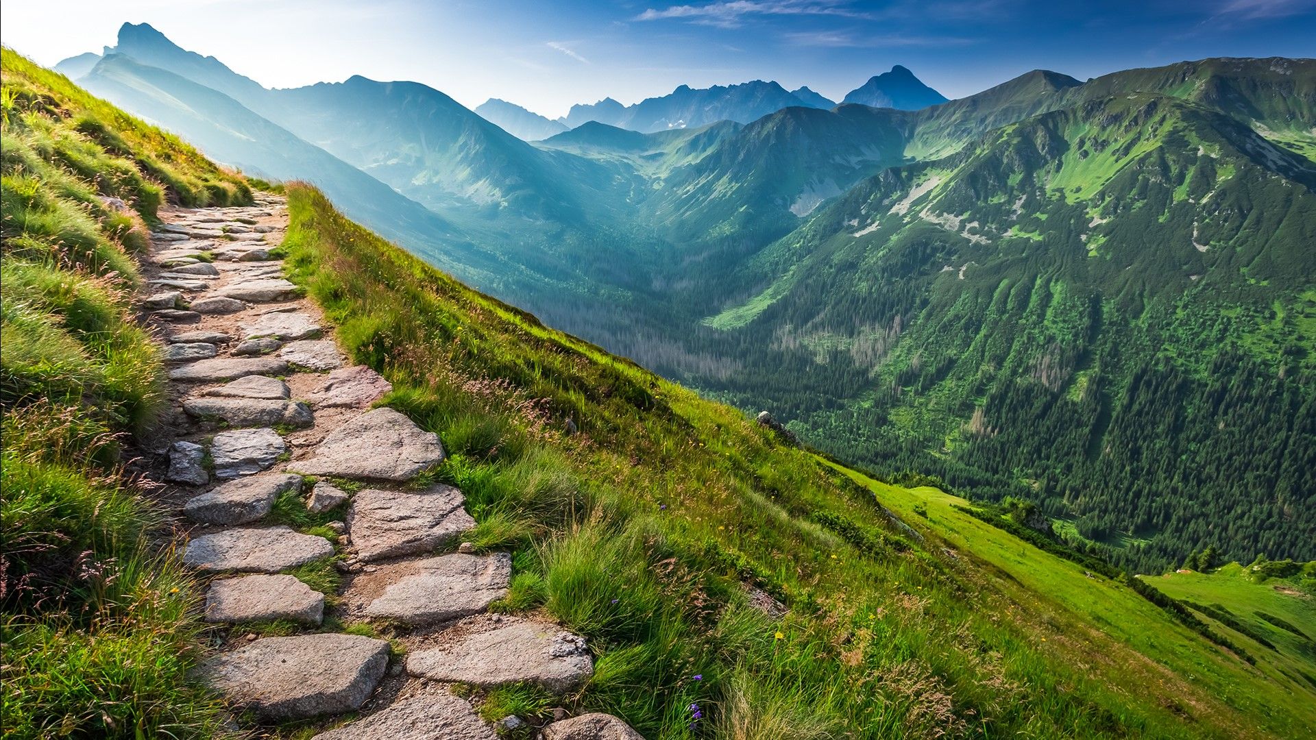 Tatra National Park