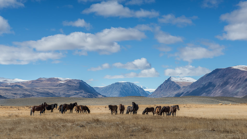 Tavan Bogd Mountains