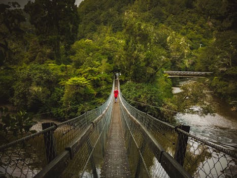 Te Awa River Ride (Waikato River Trails)