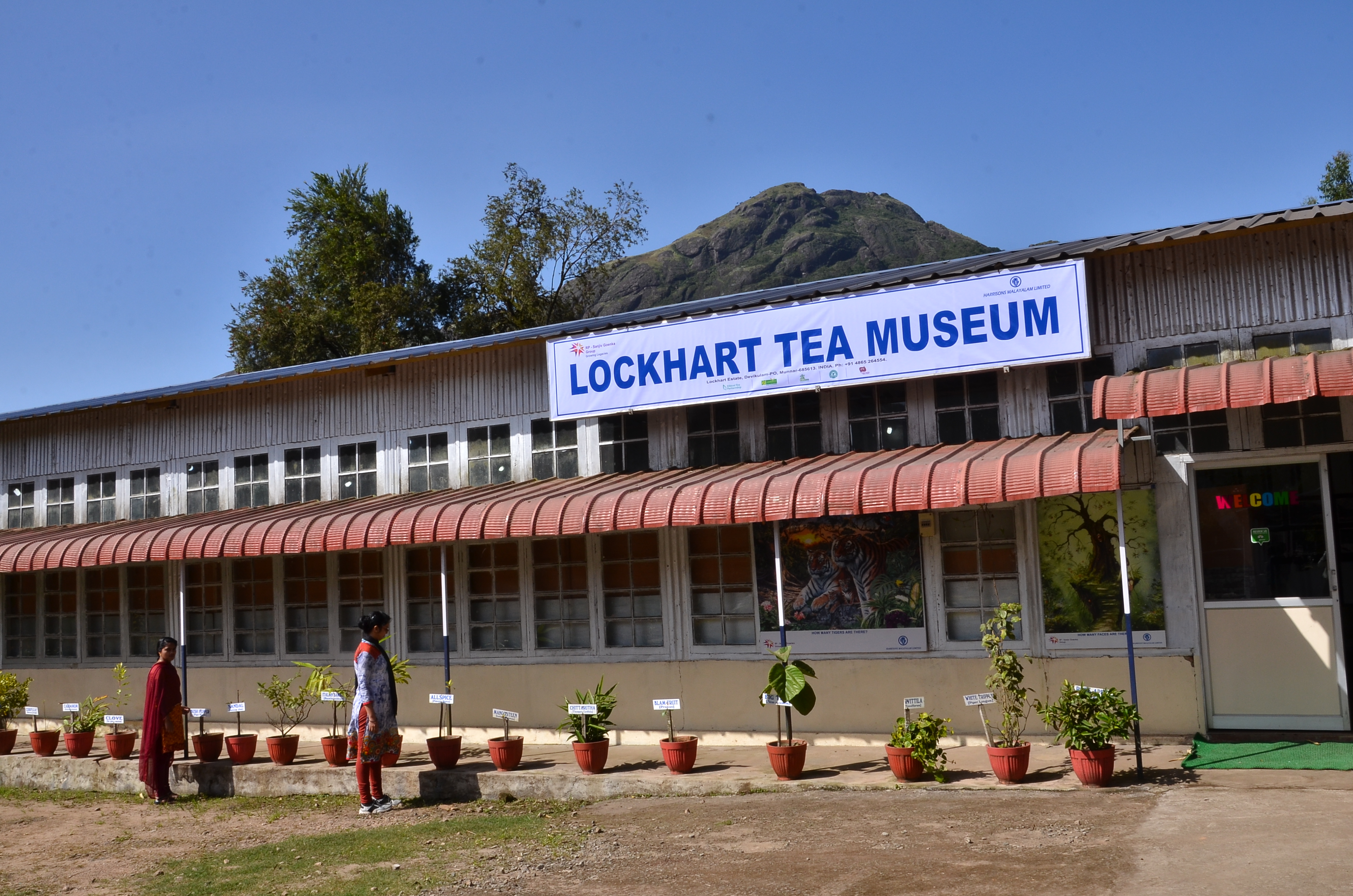 Tea Museum