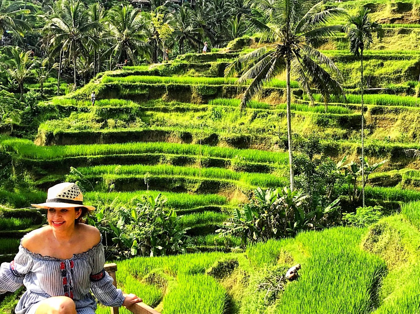 Tegallalang Rice Terraces