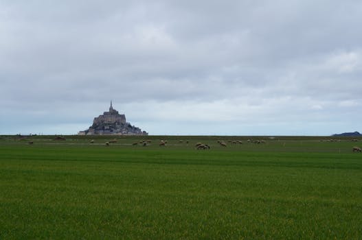 Temple d'Auguste et de Livie