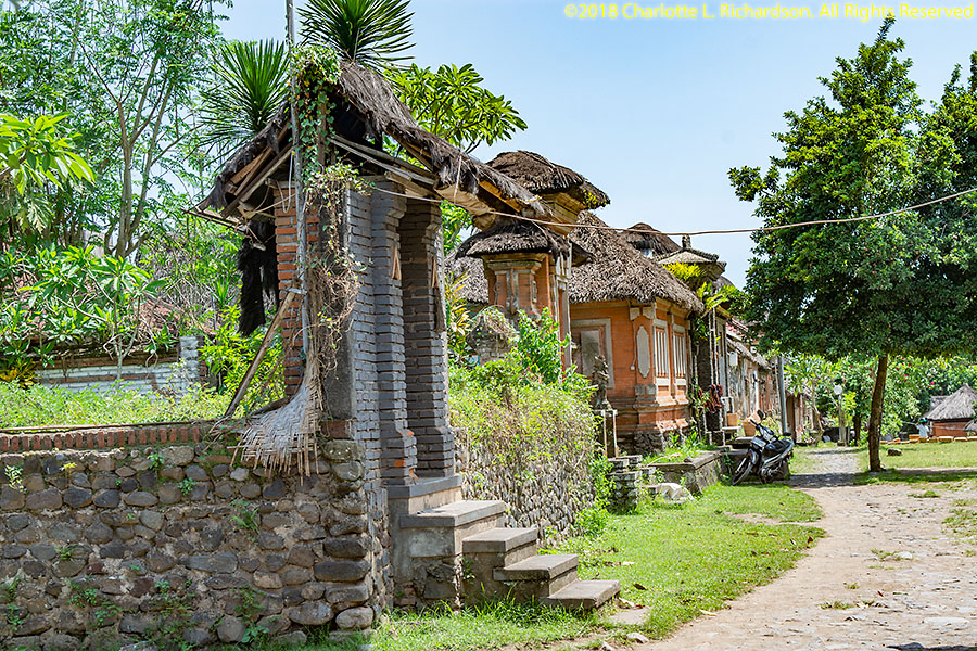 Tenganan Village