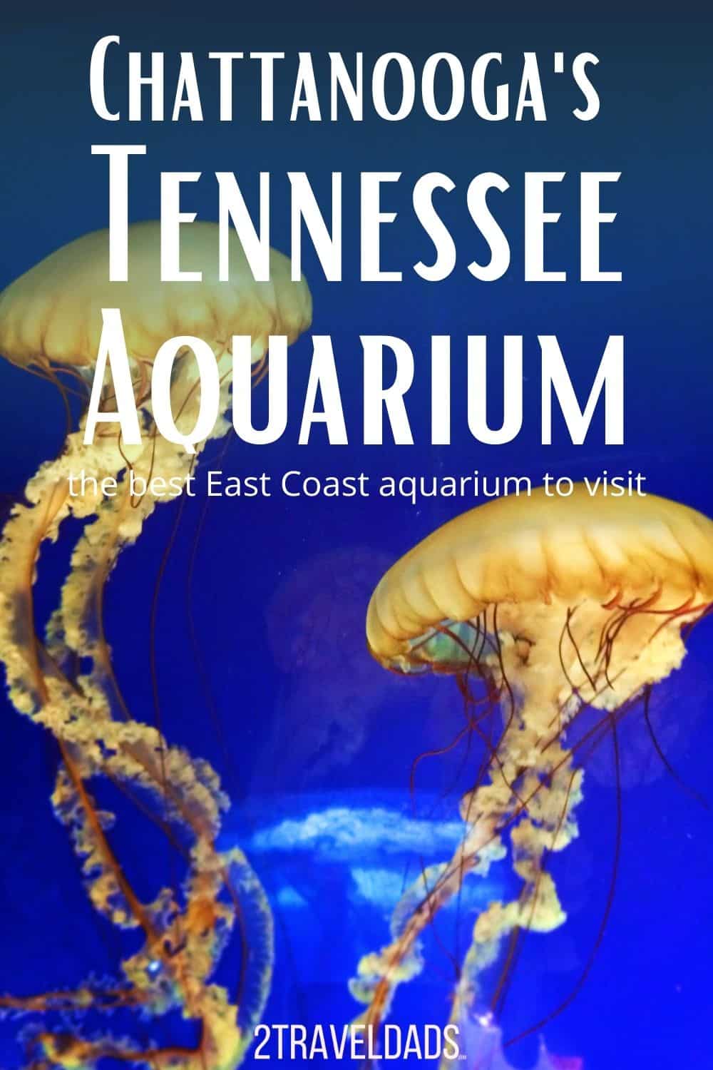 Tennessee Aquarium