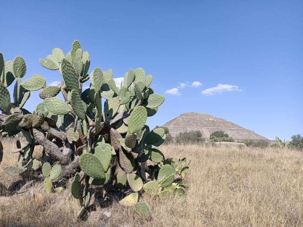 Teotihuacan Botanical Garden