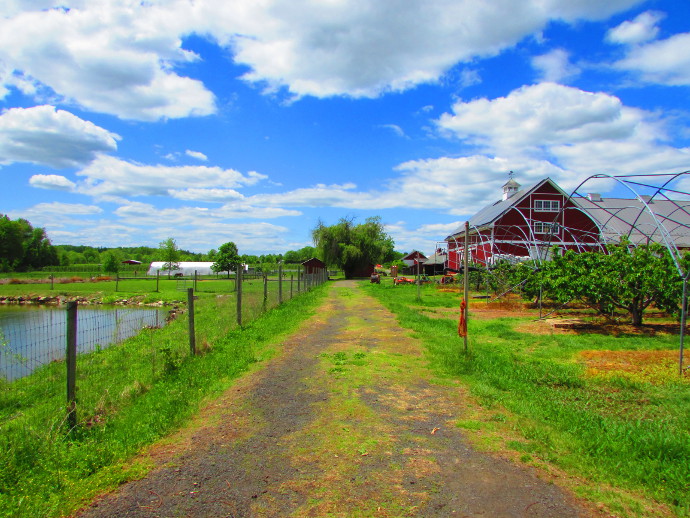 Terhune Orchards