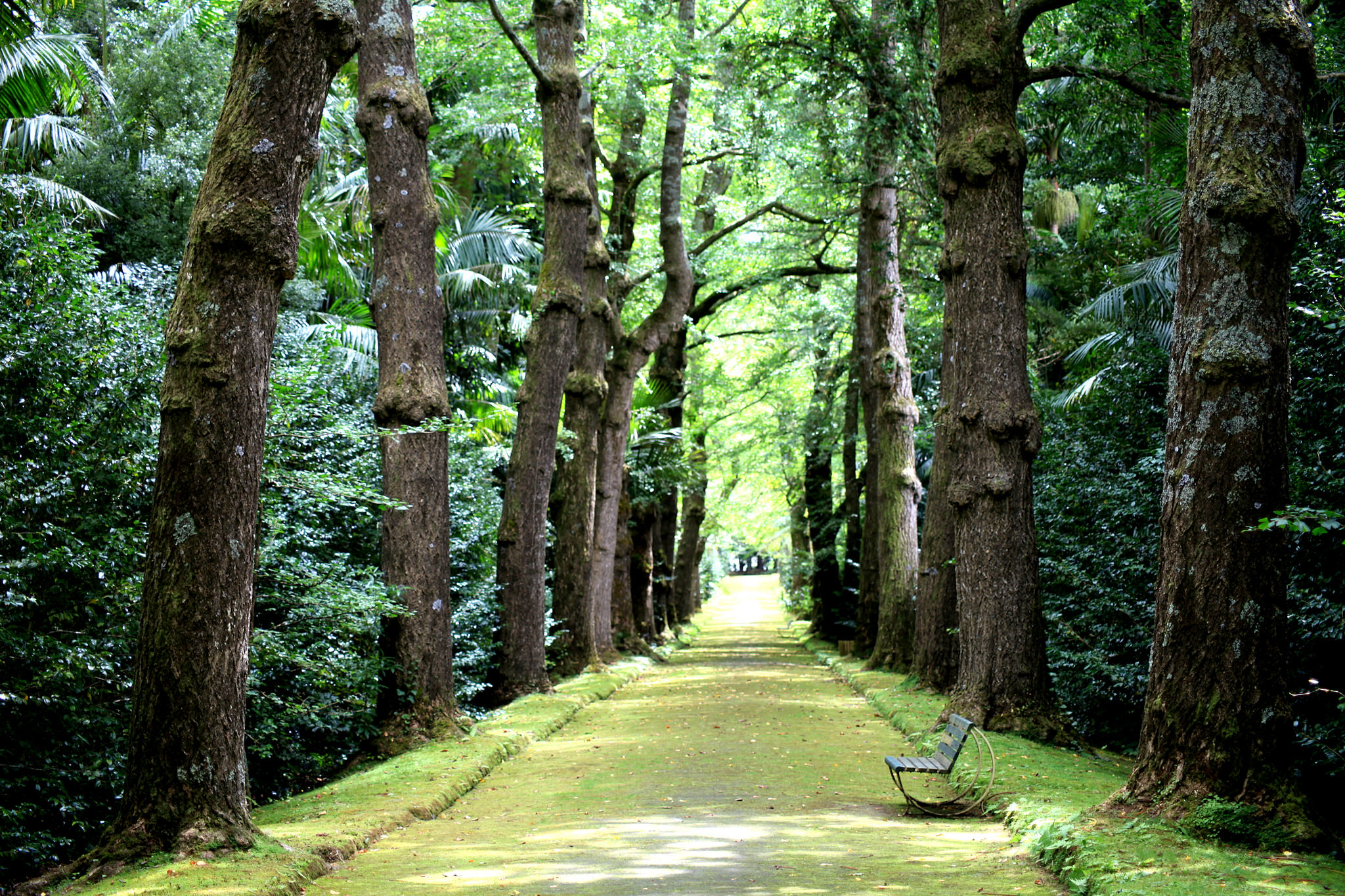 Terra Nostra Garden