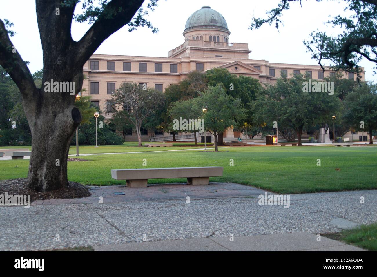 Texas A&M University