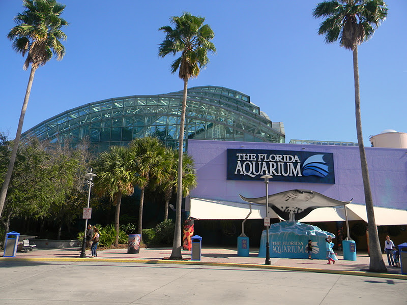 The Florida Aquarium