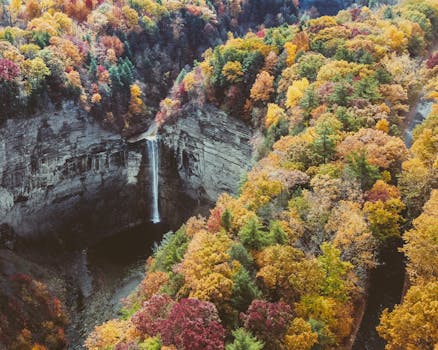 The Gorge Zipline Canopy Adventure