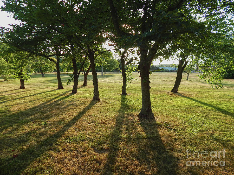 The Grove at Redbud Run