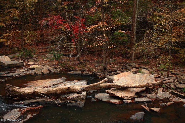 The Paper Mill Ruins