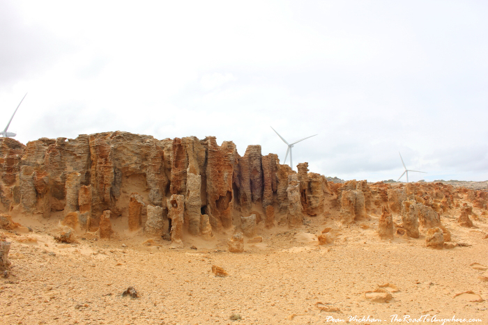 The Petrified Forest