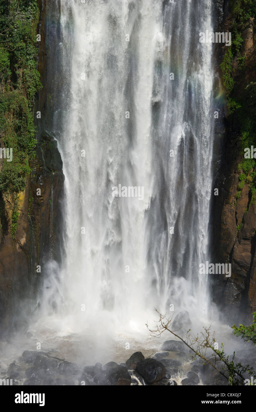 Thomson Falls