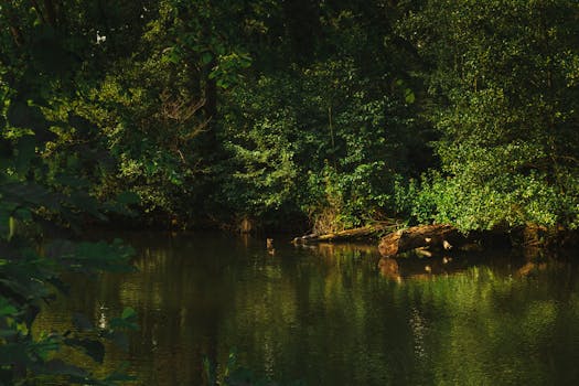 Tiergarten Straubing