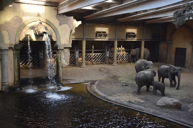 Tierpark Hagenbeck