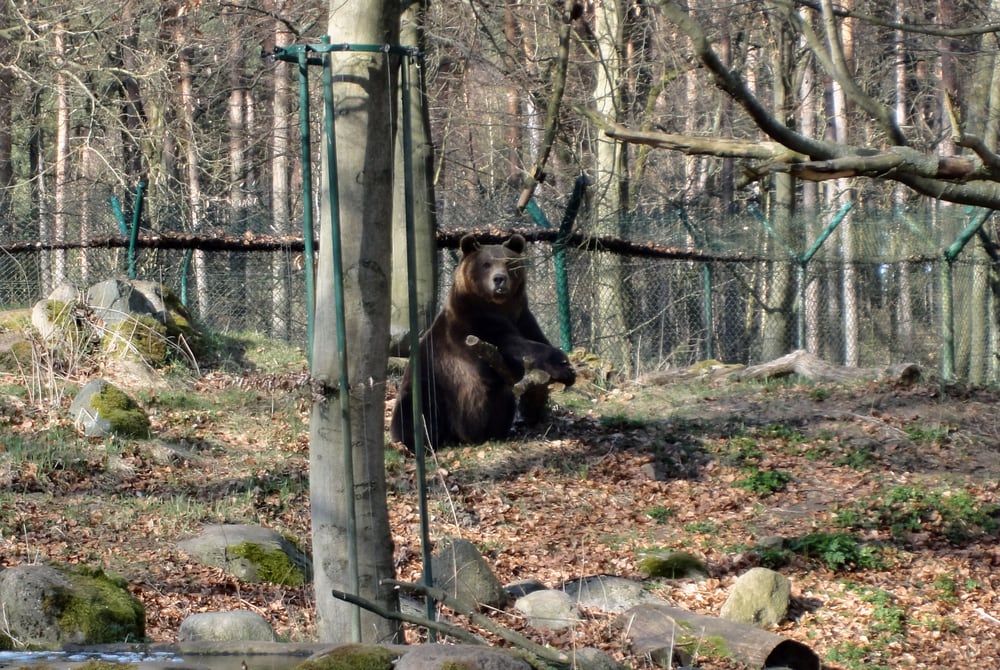 Tierpark Perleberg