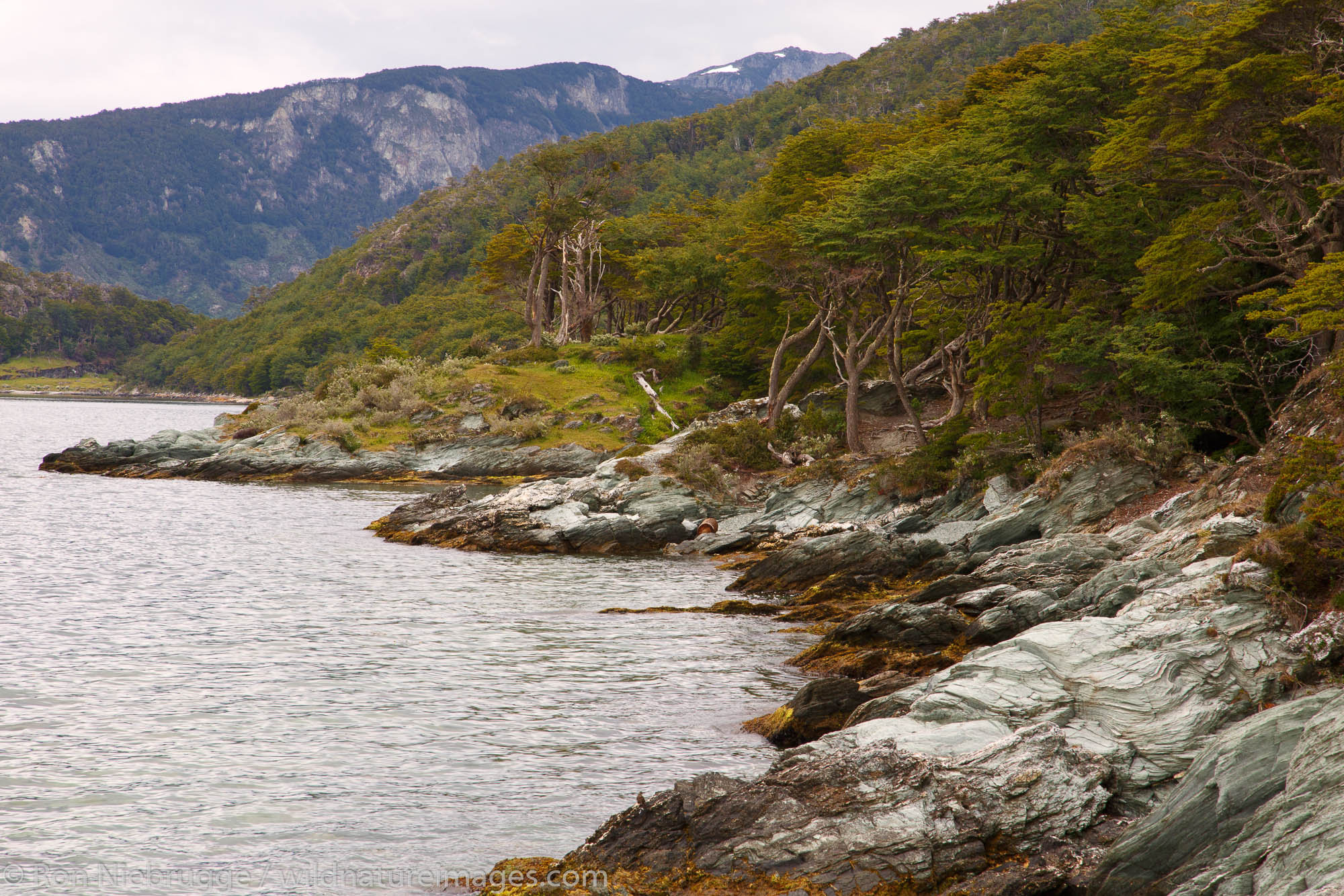 Tierra del Fuego National Park