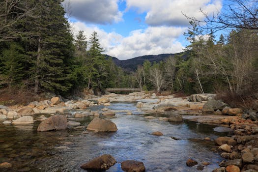 Tiffany Creek State Natural Area