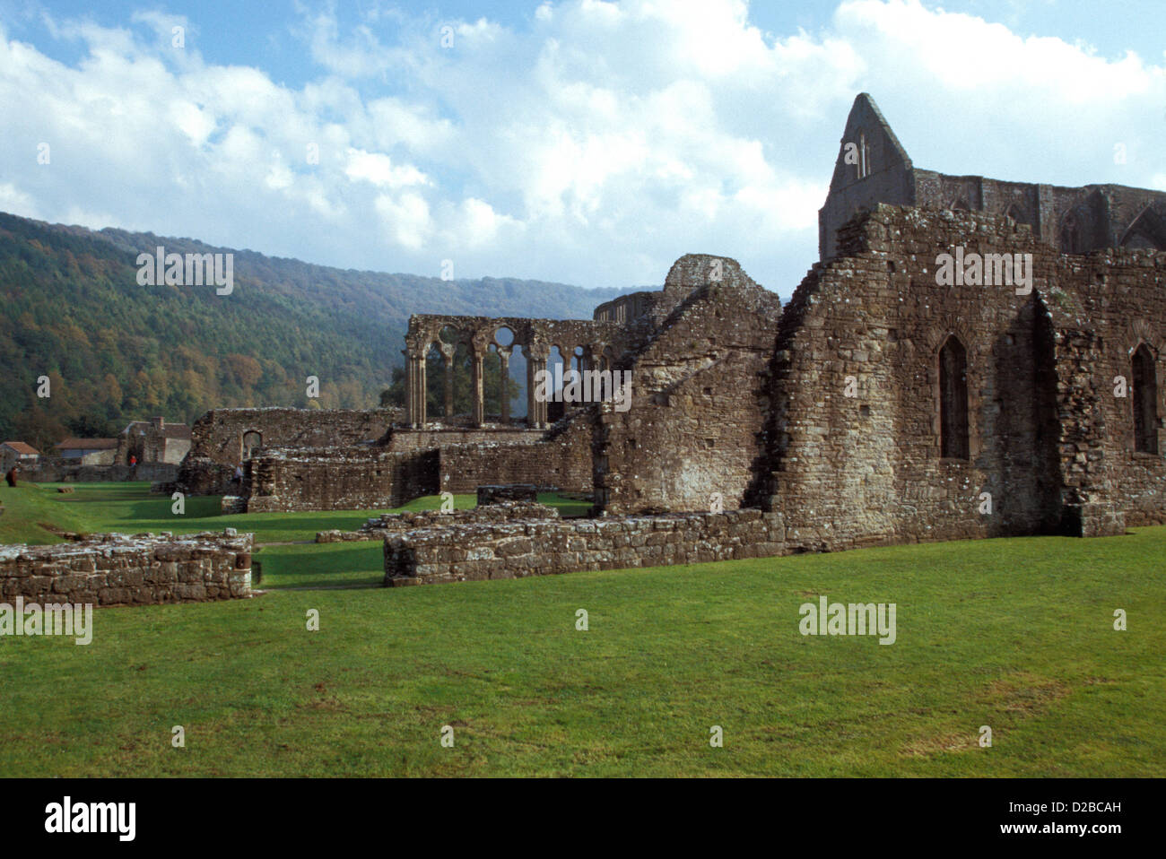 Tintern Abbey