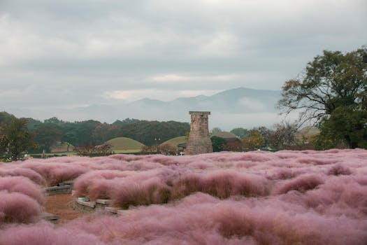 Tomb of General Kim Yu-sin