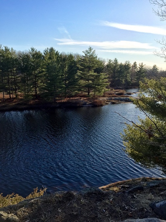 Torrance Barrens Dark-Sky Preserve (nearby)