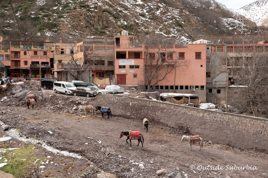 Toubkal National Park