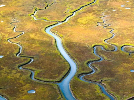 Tralee Bay Wetlands Eco & Activity Park