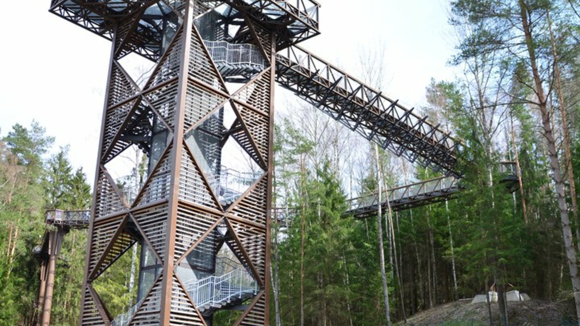 Treetop Walking Path