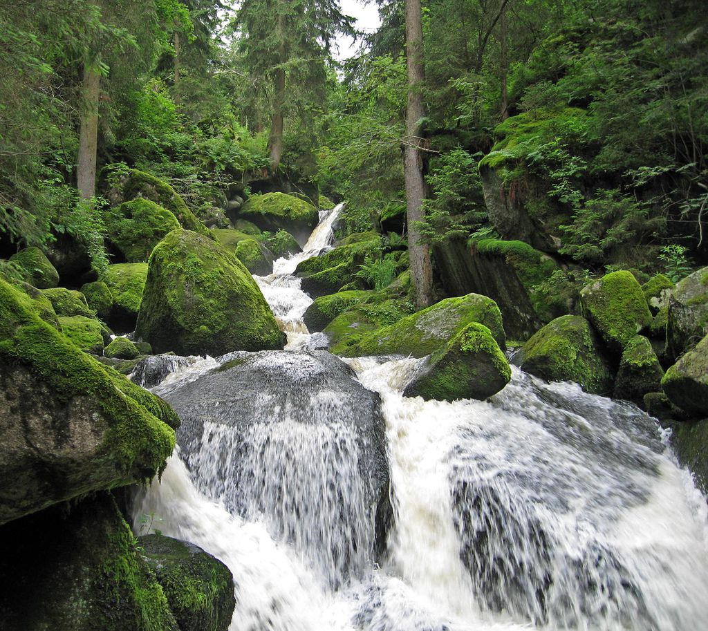 Triberg Waterfalls