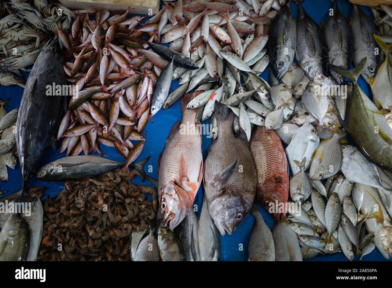 Trincomalee Market