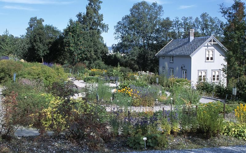 Tromsø Botanical Garden