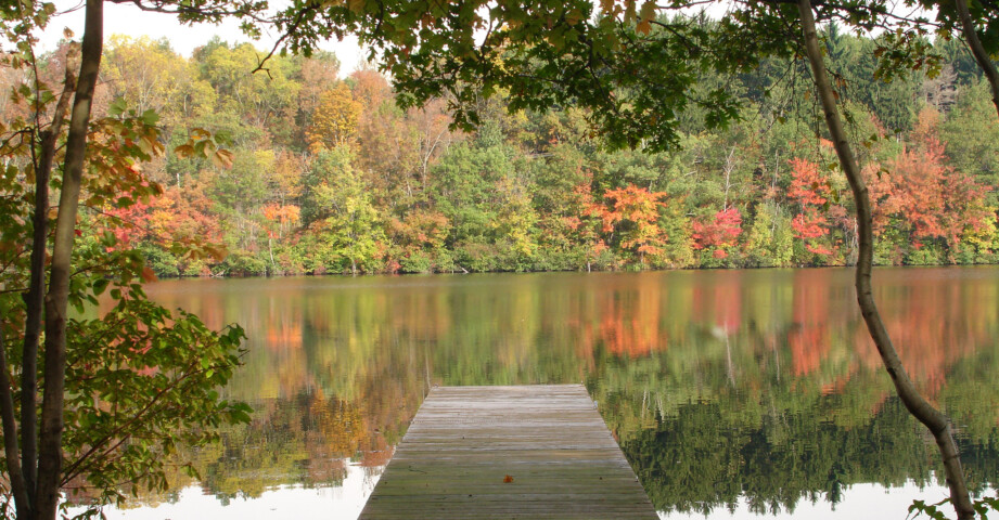 Trout Lake