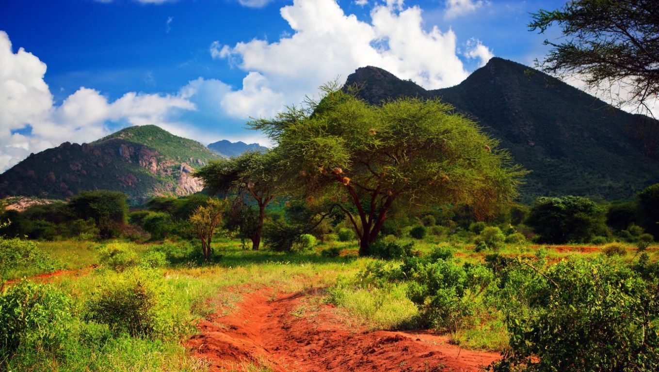 Tsavo West National Park