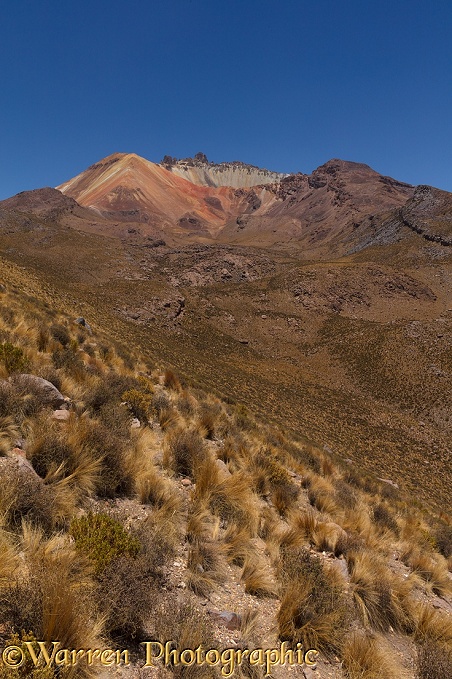 Tunupa Volcano