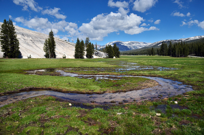 Tuolumne Meadows