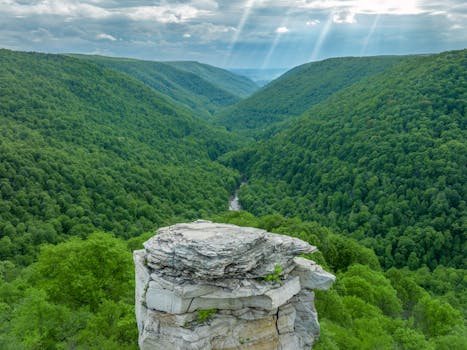 Turkey Mountain Urban Wilderness Area