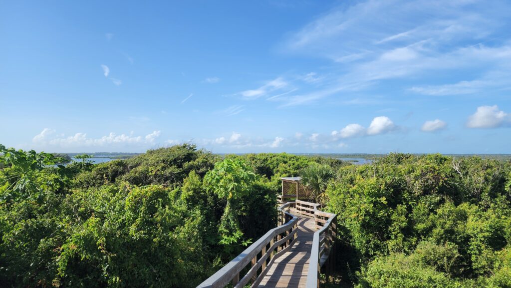 Turtle Mound Archaeological Site