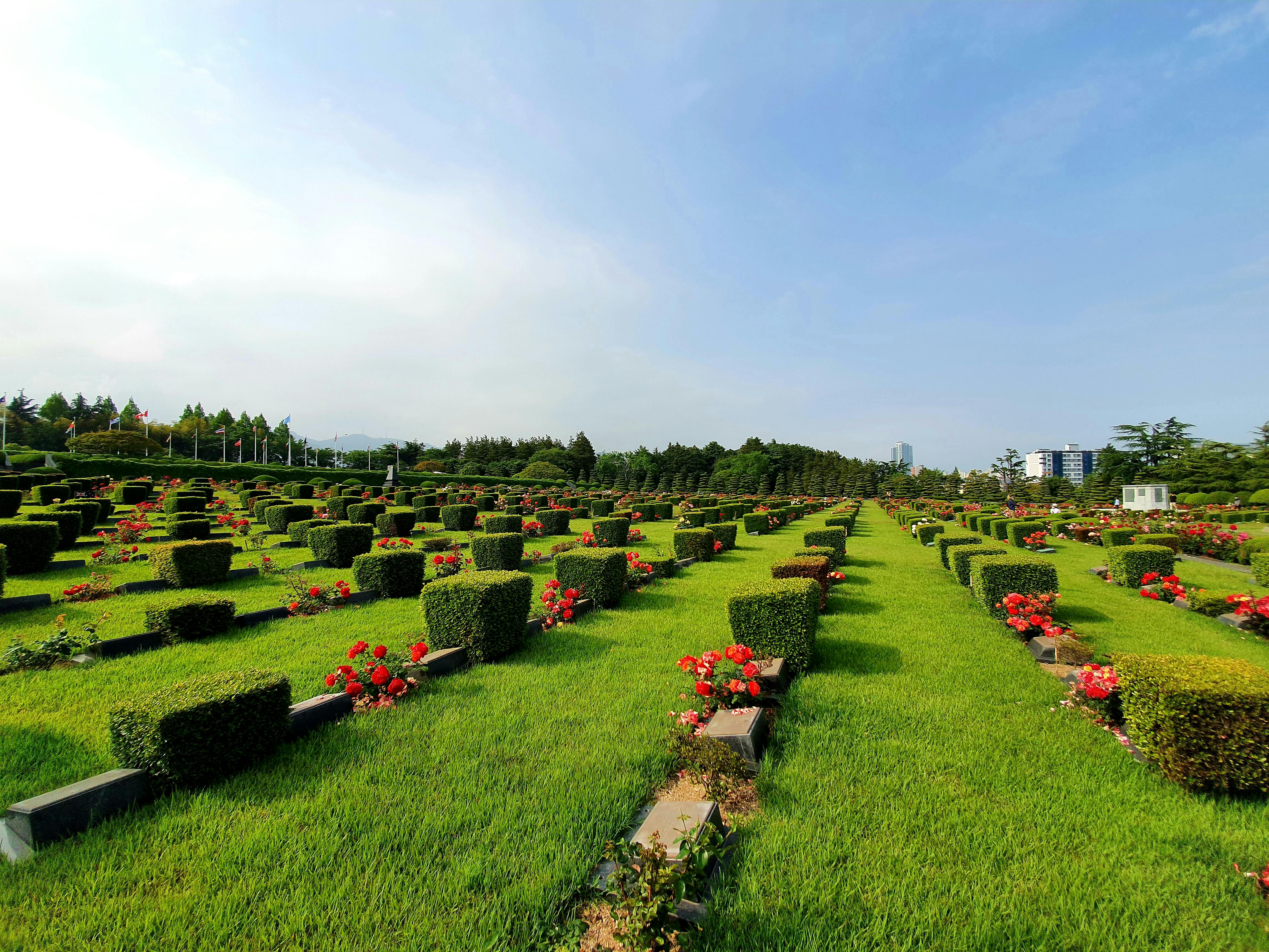 UN Memorial Cemetery