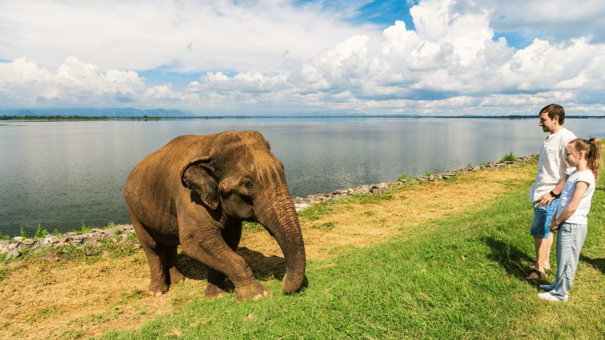 Udawalawe National Park