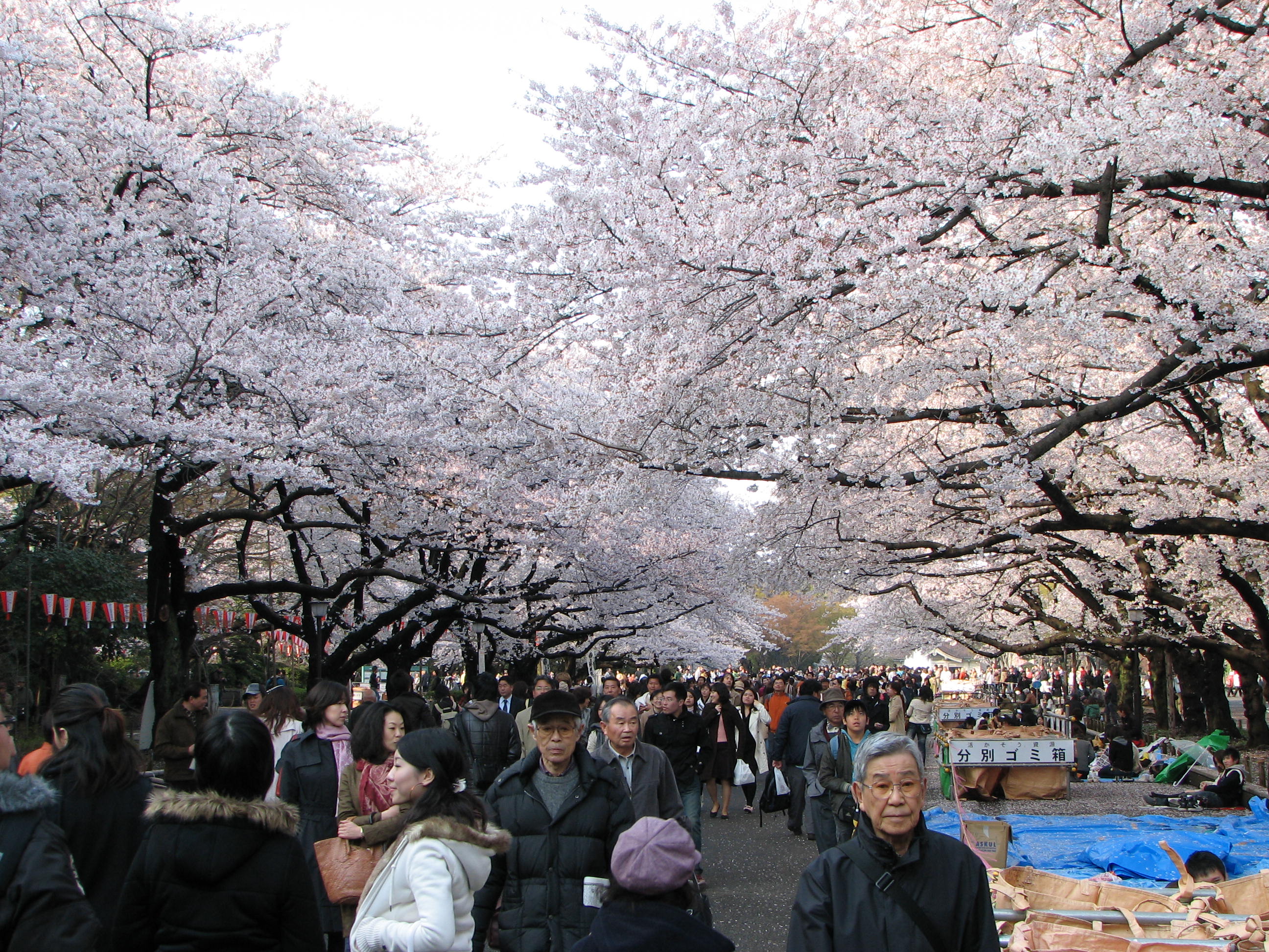 Ueno Park and Zoo