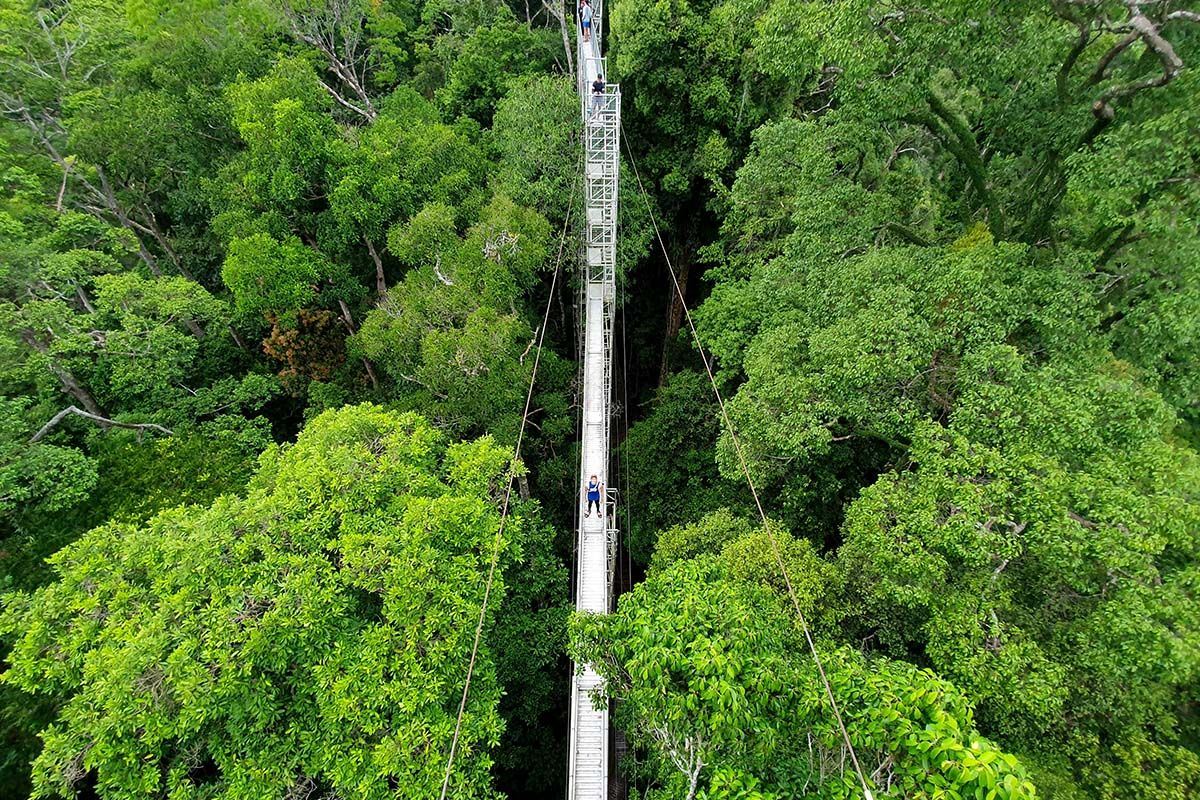 Ulu Temburong National Park