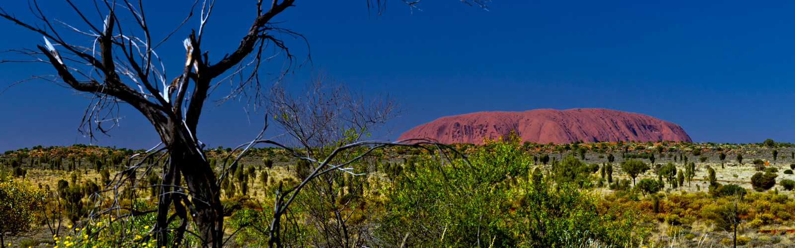 Uluru (Ayers Rock)