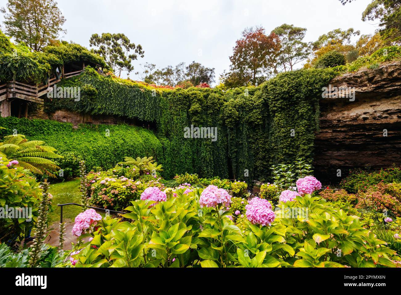 Umpherston Sinkhole