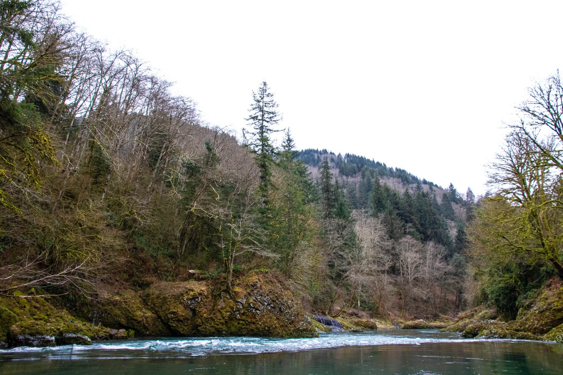 Umpqua Valley Wine Region