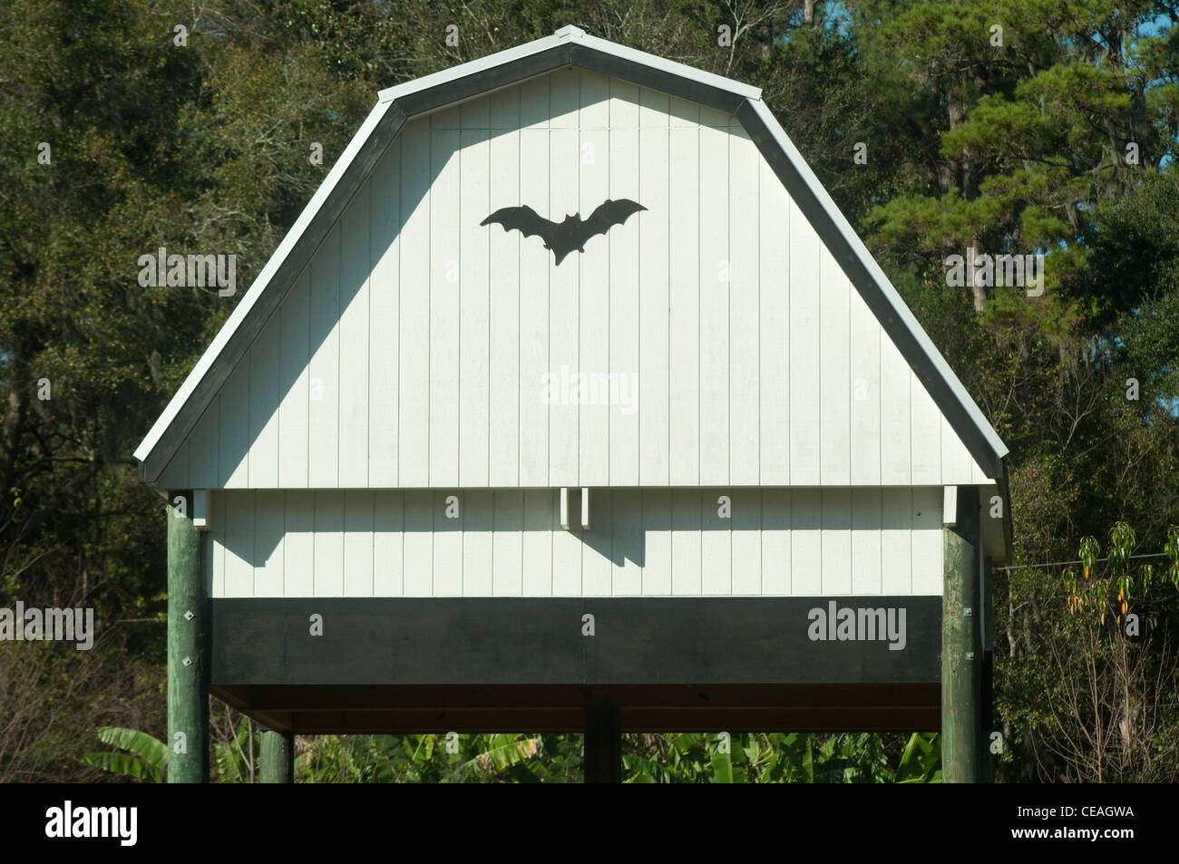 University of Florida Bat Houses