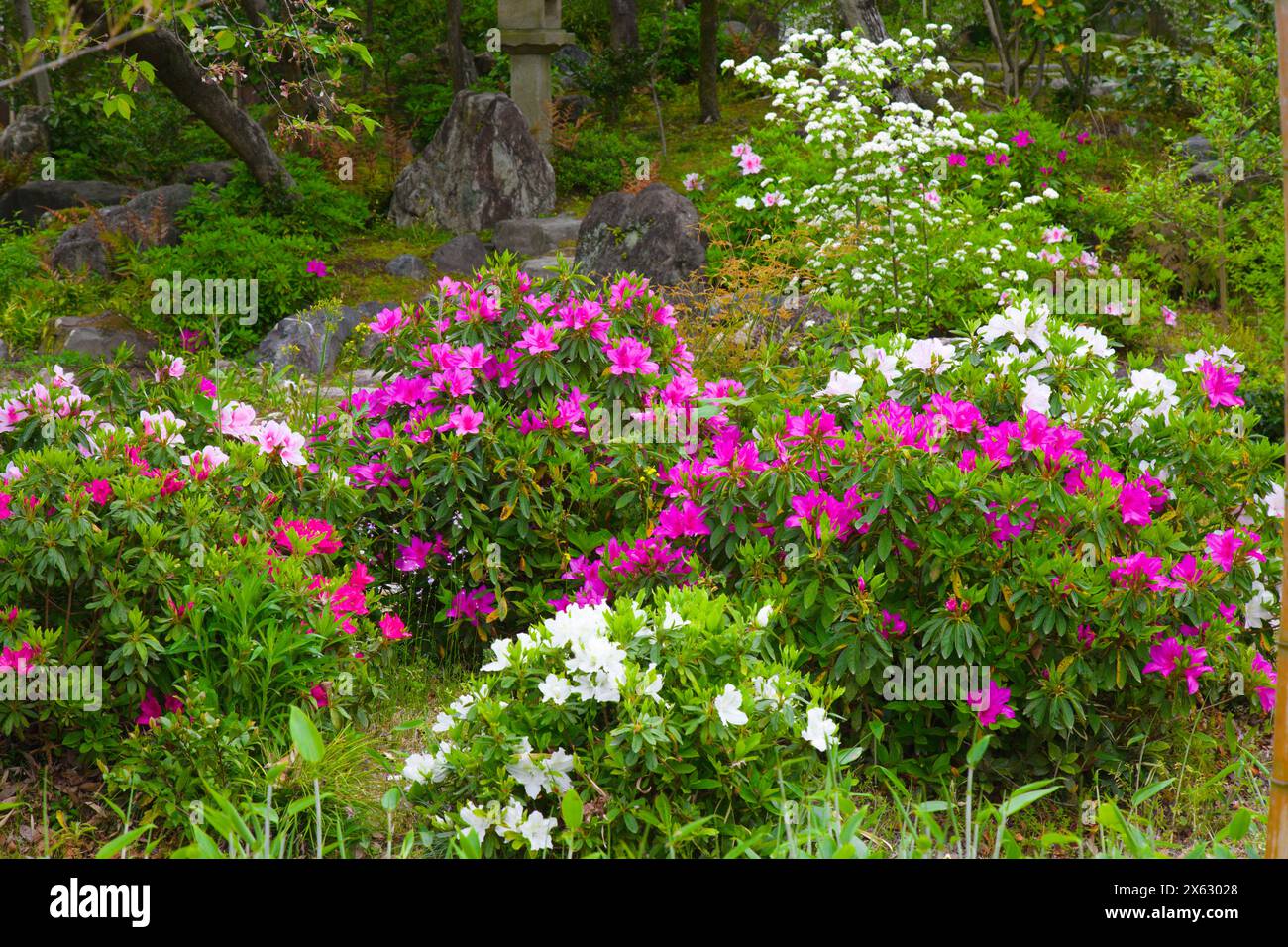 Urakuen Garden