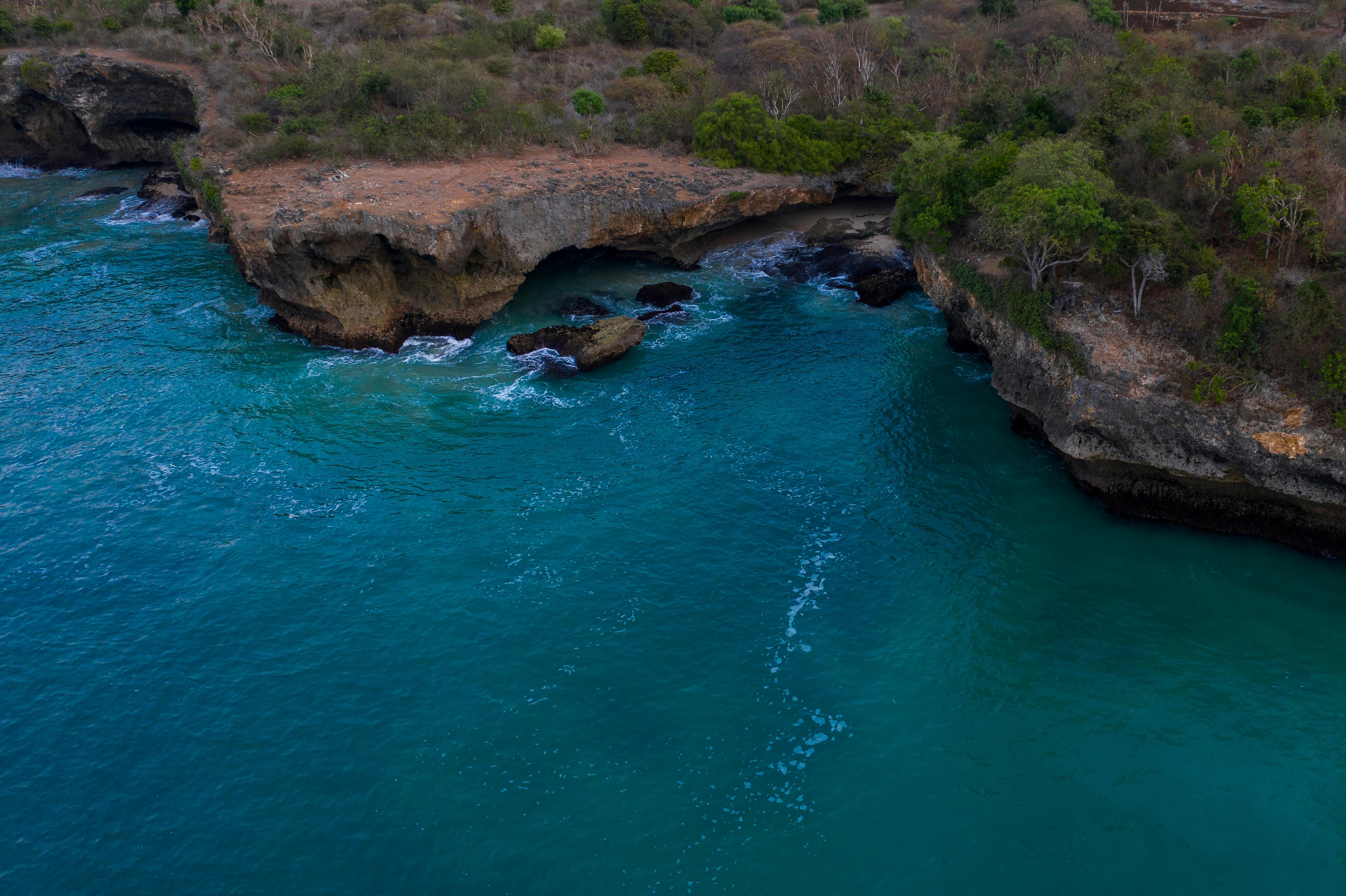 Utila Dive Center