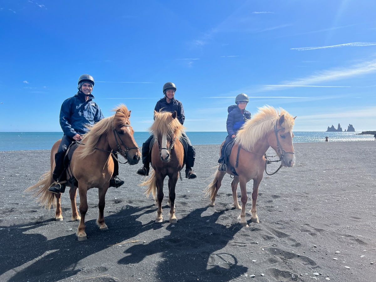 Víkurfjara Horseback Riding Tour